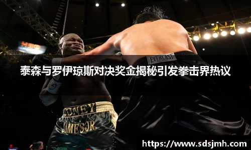 泰森与罗伊琼斯对决奖金揭秘引发拳击界热议