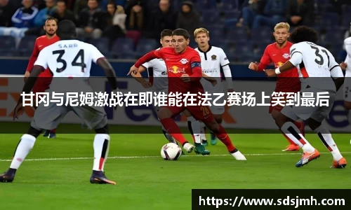 甘冈与尼姆激战在即谁能在法乙赛场上笑到最后